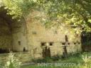 atri015.jpg