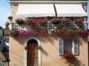 atri017.jpg