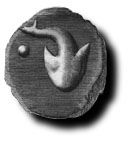 quada.JPG (8127 byte)